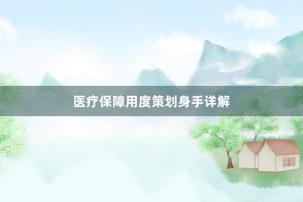 医疗保障用度策划身手详解