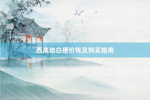 西高地白梗价钱及购买指南